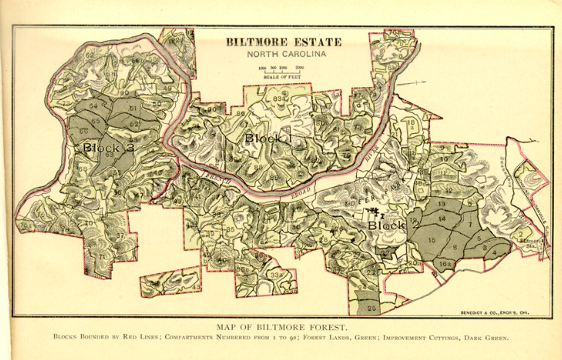 1893 Colored map showing all of Biltmore forest sectioned off and color-coded to show plans for each section