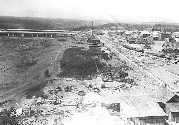 construction of the Shrub Garden at Biltmore