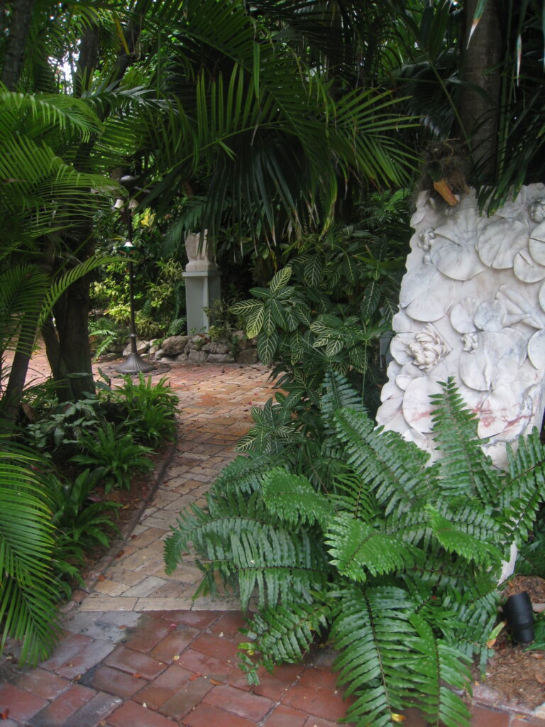 shady garden path lined with ferns taken at the Garden Hotel in Key West