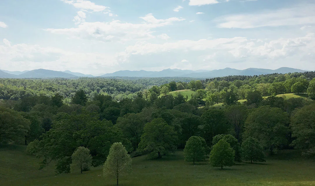 View of Pisgah National Forest from the Biltmore Estate as it looks today