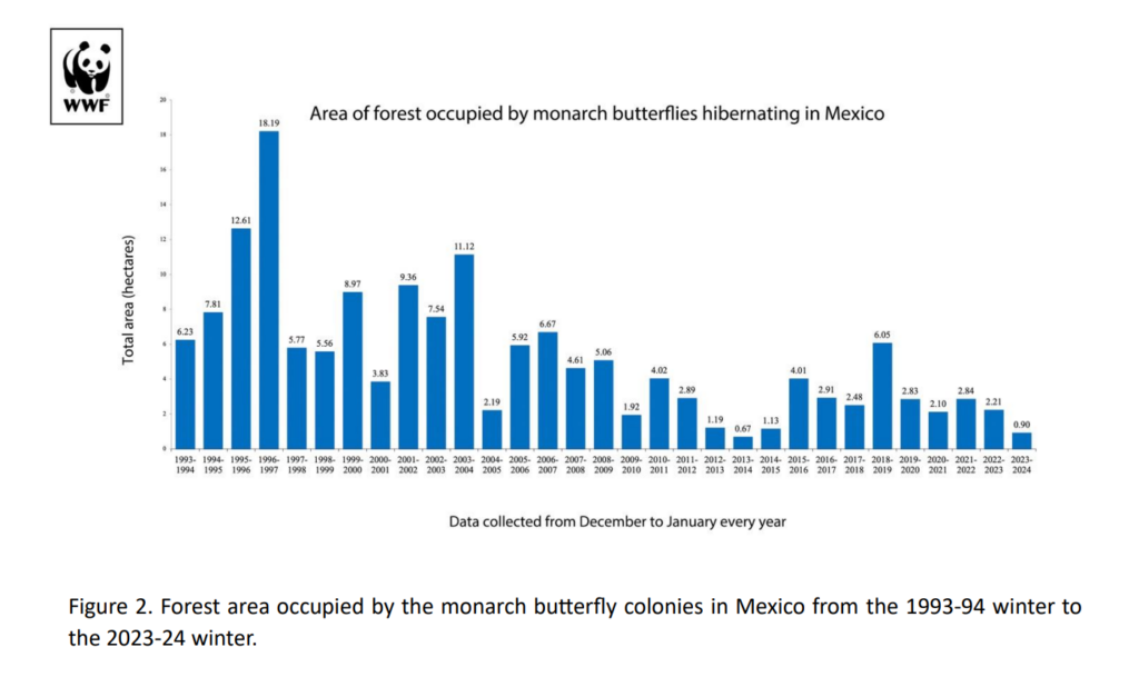 WWF barchart showing the forest area occupied by monarchs in Mexico from 1993-94 winter to 2023-24 winter