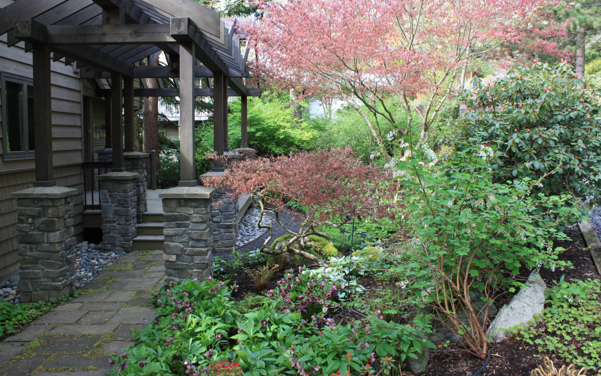 Suburban Front Yard