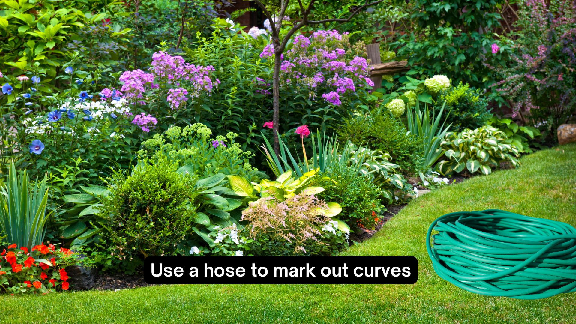 Use a garden hose to lay out curved lines