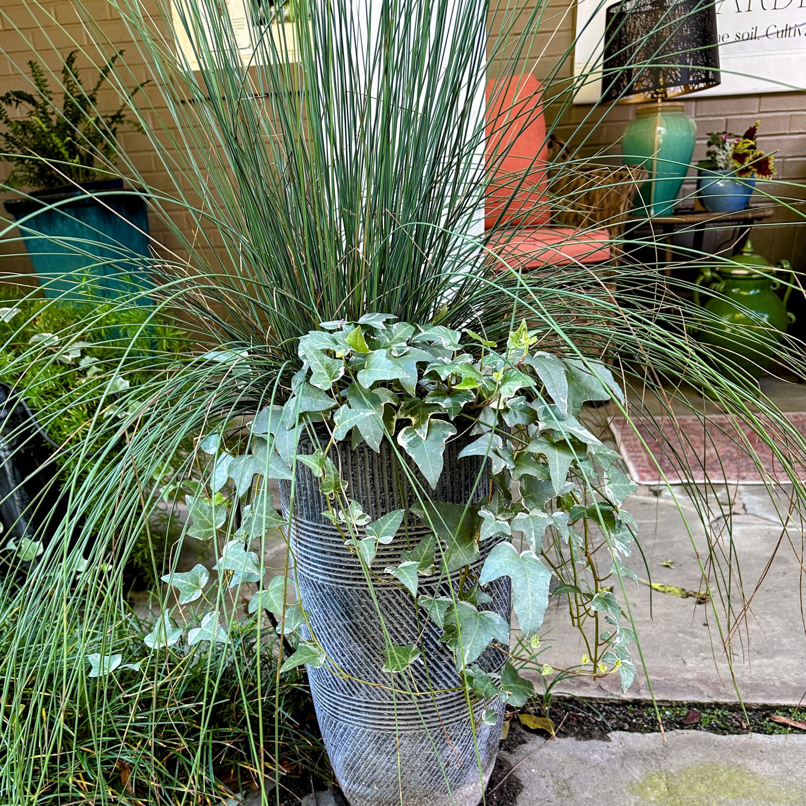 One of my Dooryard Planters in August after the Wintergreen died