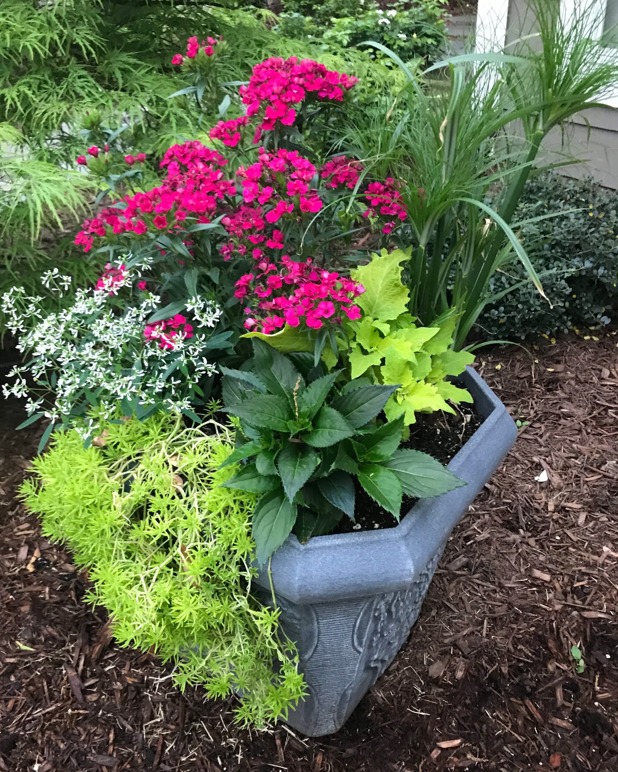 Backyard Pot in Summer