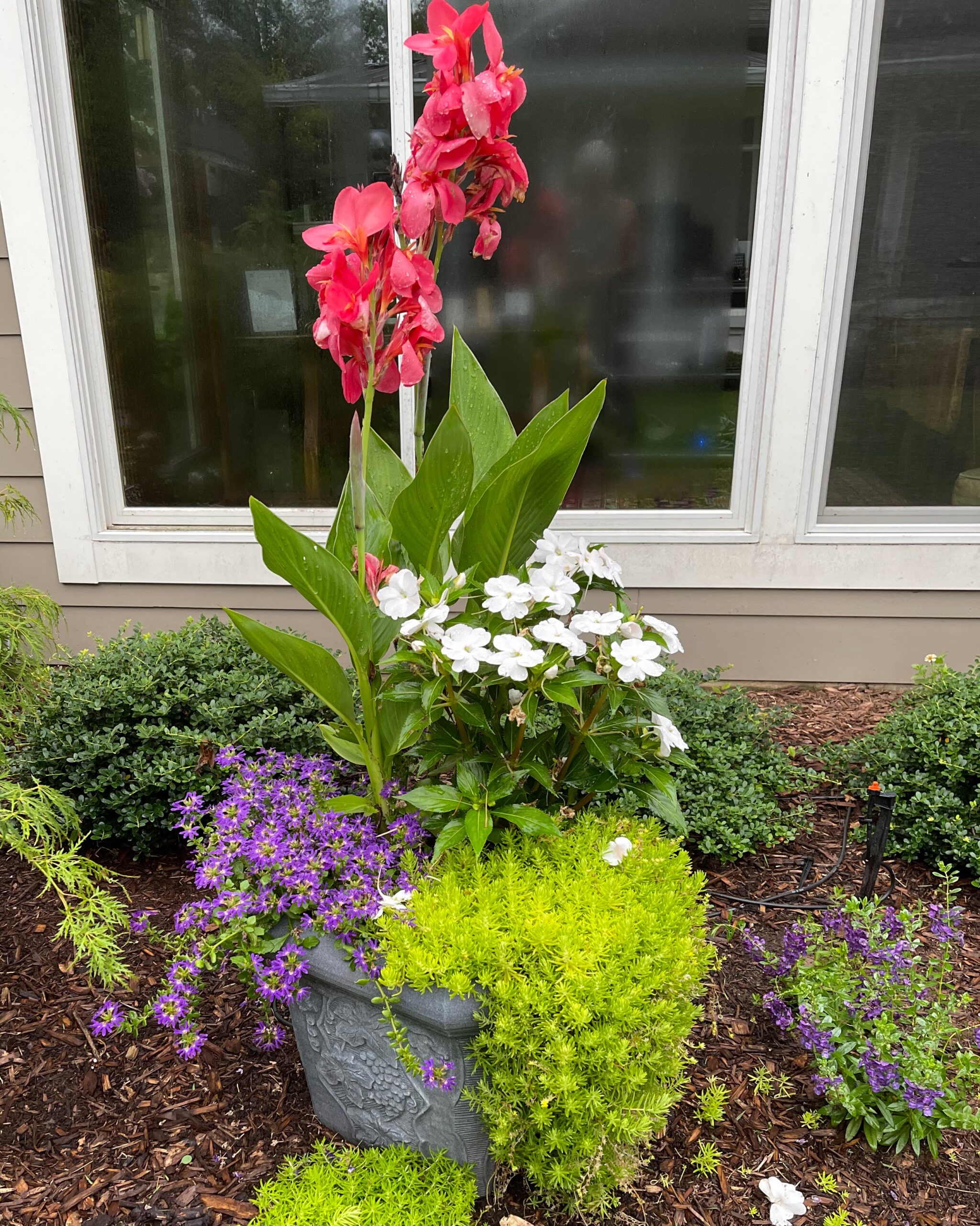 Backyard Pot in Summer